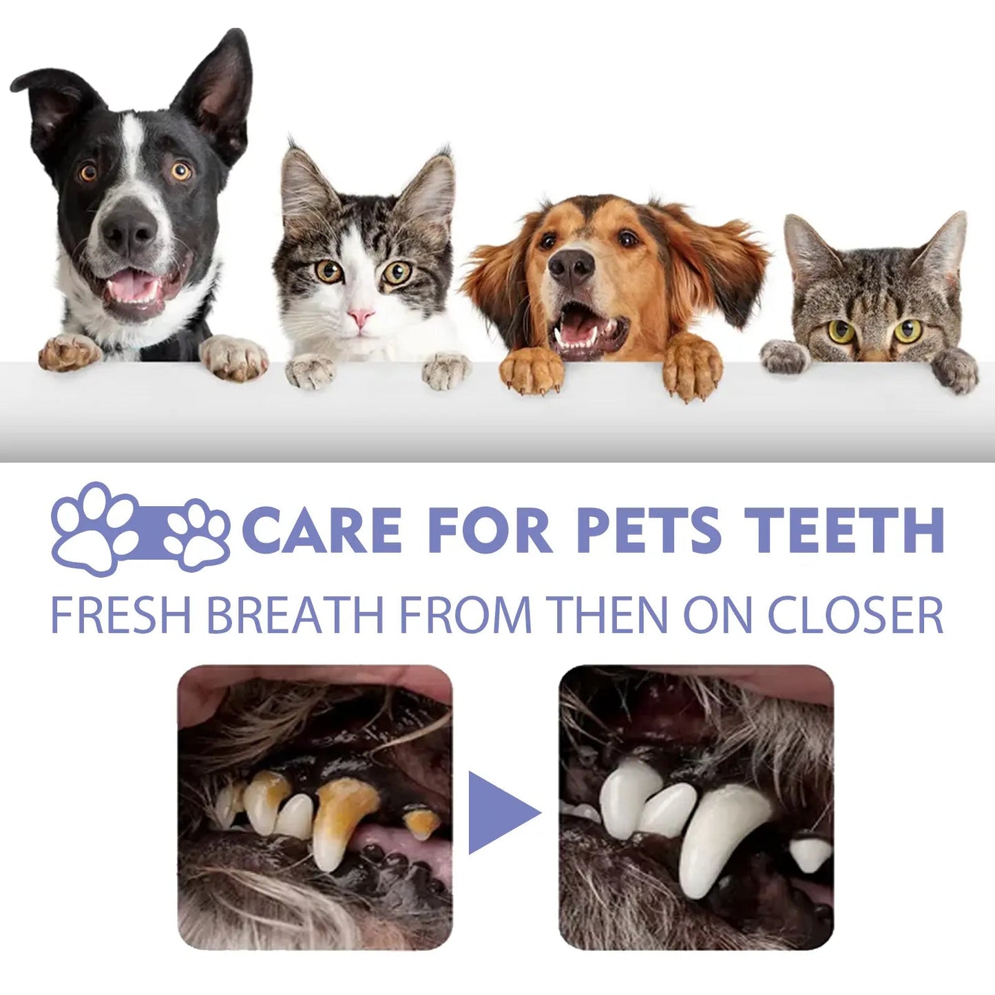 🍃No-Brushing Oral Care Spray for Dogs & Cats