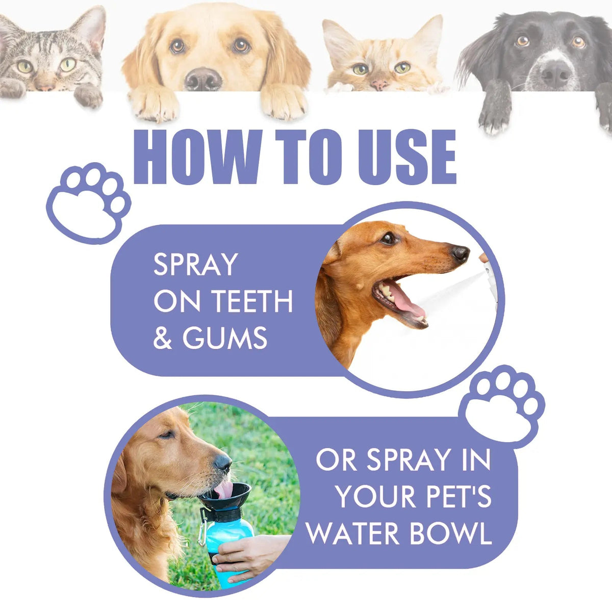 🍃No-Brushing Oral Care Spray for Dogs & Cats