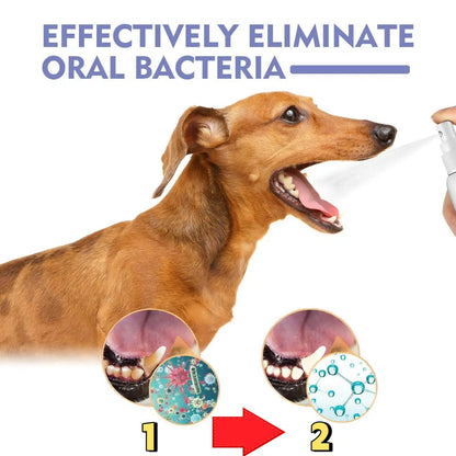 🍃No-Brushing Oral Care Spray for Dogs & Cats