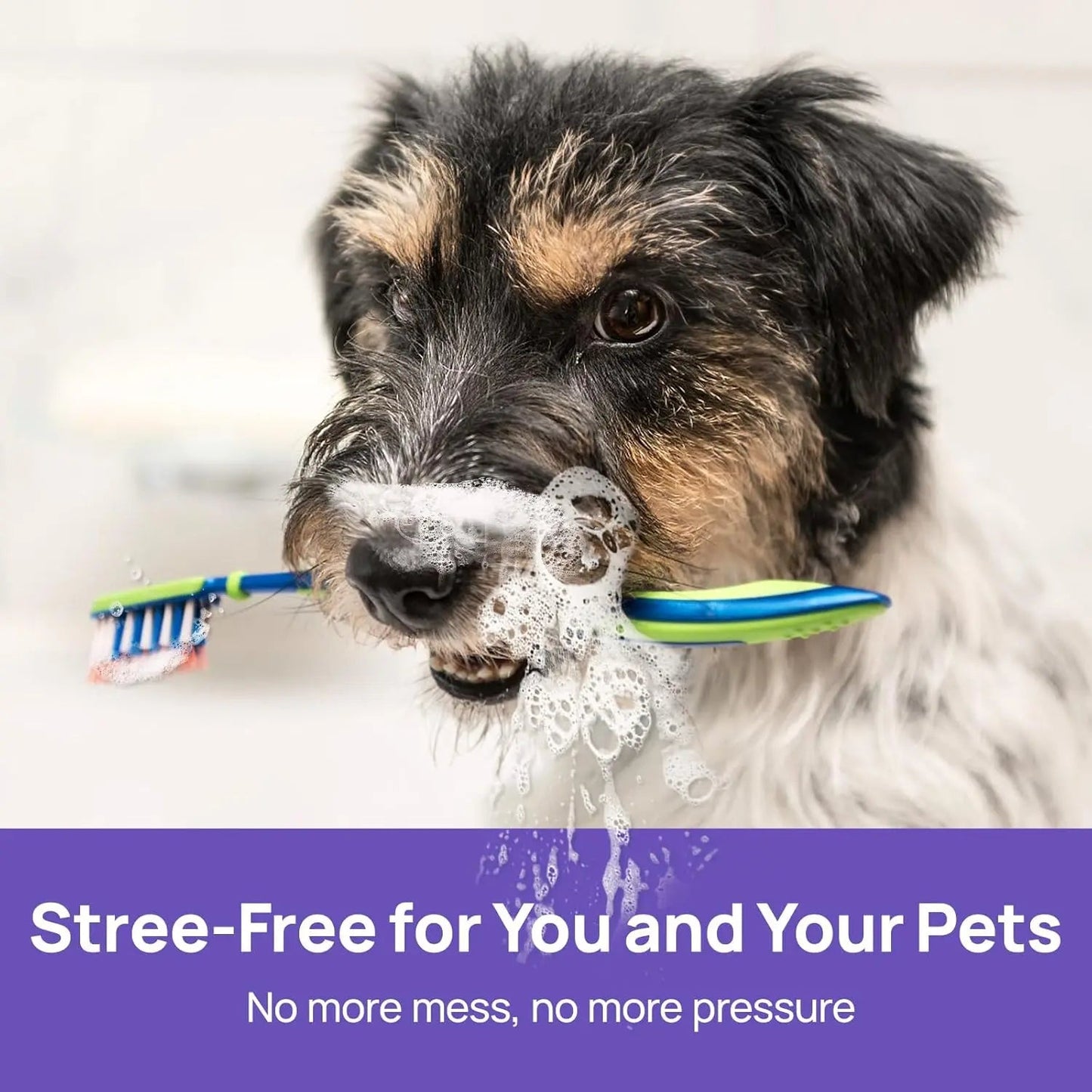 🍃No-Brushing Oral Care Spray for Dogs & Cats